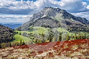 Big Rozsutec, Little Fatra, Slovakia, springtime scene