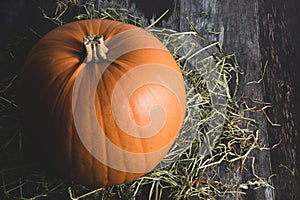 Big rural decorative orange pumpkin on rustic wooden background with rural hay as holiday decor for thanksgiving or halloween