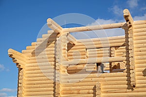 Big rural house construction from smooth logs on bright winter day