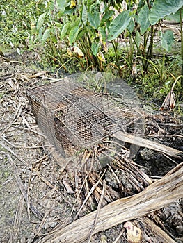 big rusty animal metal trap cage at the farm.