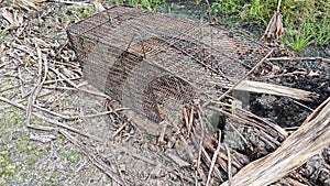 big rusty animal metal trap cage at the farm.