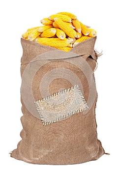 Big sack of corn cobs