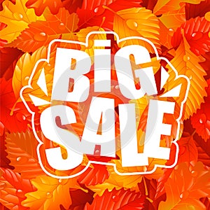 Big Sale Lettering and Autumn Seamless Pattern