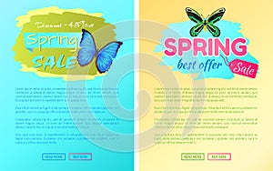 Big Sale Spring Discount Offer Labels Butterflies