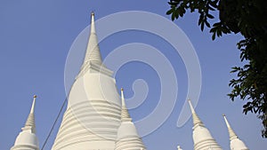 Big And Samall White Pagoda Bell Shape With Leaves