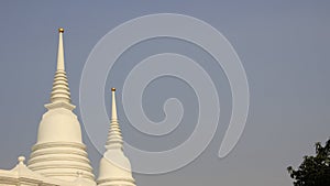 Big And Samall White Pagoda Bell Shape With Leaves