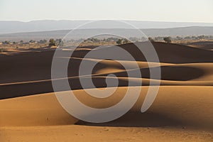 Big sand dunes in Sahara desert