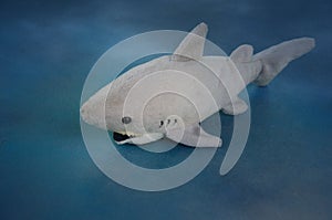 Big savage shark in deep blue sea