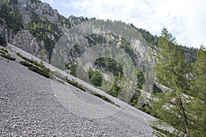 Big scree slope in Alps