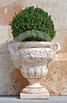 A big sculptured vase with a plant in front of a wall