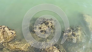 Big sea rock with waves. top view of sea coral rocks