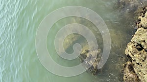 Big sea rock with waves. top view of sea coral rocks