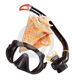 Big sea shell and equipment for diving (snorkel)