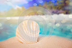 Big sea shell on a white sand with ocean coastline on the background