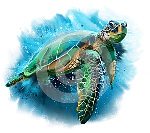 Big sea turtle