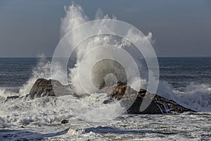 Big sea wave splash in a sunny autumn day