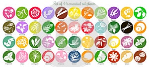 Big set of 44 flat essential oil labels. White Silhouettes