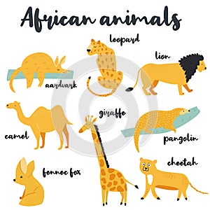 Big set of african animals on white background