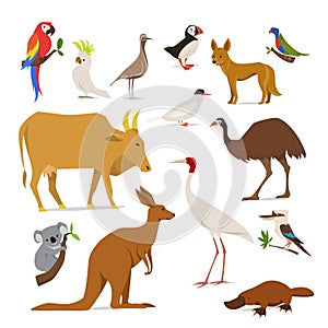 Big set of birds and animals of Australia