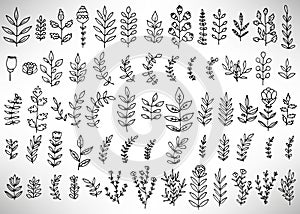 Big set of black hand drawn thin line cute doodle floral icons, flowers, peony, laurel, wreath.