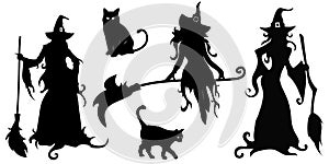 Big set with black silhouettes witches and cats photo