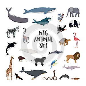 Big set cartoon style icons of different animals, birds, whales, dolphins