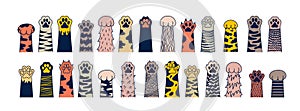 Big set of Cat colored paw. Dog paw. Cat breed. Doodle animal foot, cute cartoon kitten and puppy paws, wild and domestic animals