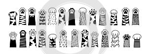 Big set of Cat paw. Dog paw. Cat breed. Doodle animal foot, cute cartoon kitten and puppy paws, wild and domestic animals foots.