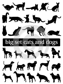 Big set cats and dogs. silhouettes