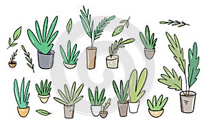 Big Set collection. Green plants in home pots. Vector illustration in cartoon style