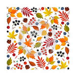 Big set of colorful autumn falling leaves for design, greeting card, banner for sale