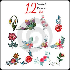 Big set of 12 colorful tropical flowers. Big floral botanical flower set isolated on white background. Hand drawn vector
