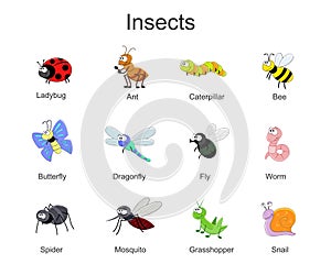 Big set with cute cartoon insects. Vector insects illustration i