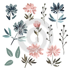 Big set of cute delicate pastel flowers in watercolor style isolated on white background.