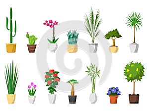 Big set of decorative house plants with pot isolated