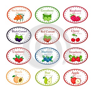 Big set of different labels for jam and conservs with garden fruits and berrieis vector illustration