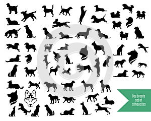 The big set of dog breeds silhouettes