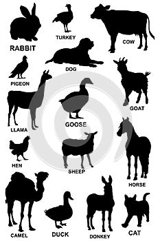 Set of domestic vector animals silhouettes. vector illustration.