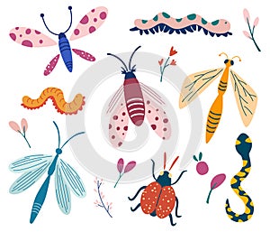 Big set of doodle insects. Beetle, butterfly, moth, worm, dragonfly, snake. Insects collection. Butterflies and moths with plants