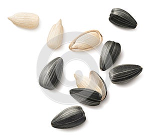 Big set of flying sunflower seeds isolated on white background. For cereal sets