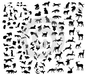 The big set of forest vector animals silhouettes.