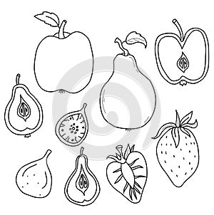 Big set of fruits and berries. Whole fruits and cut in half. Strawberry and fig, apple and pear with root and leaf