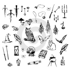 Big set of hand drawn decoration design elements for halloween party. Medieval magic objects and animals painted by ink. Grunge