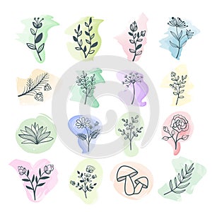 Big set of hand drawn floral elements with watercolor background for design, stock vector illustration