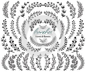 Big set of hand drawn vector plants and branches with leaves, flowers, berries. Floral sketch collection.