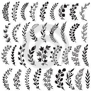 Big set of hand drawn vector plants and branches with leaves, flowers, berries. Floral sketch collection.