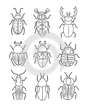 Big set of handdrawn doodle beetles vector illustration isolated on white background. Black and white insects