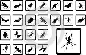 Big set icons - 10B. Insects