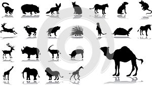 El gran colocar iconos 11. los animales 