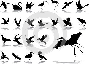 Big set icons - 2. Birds
